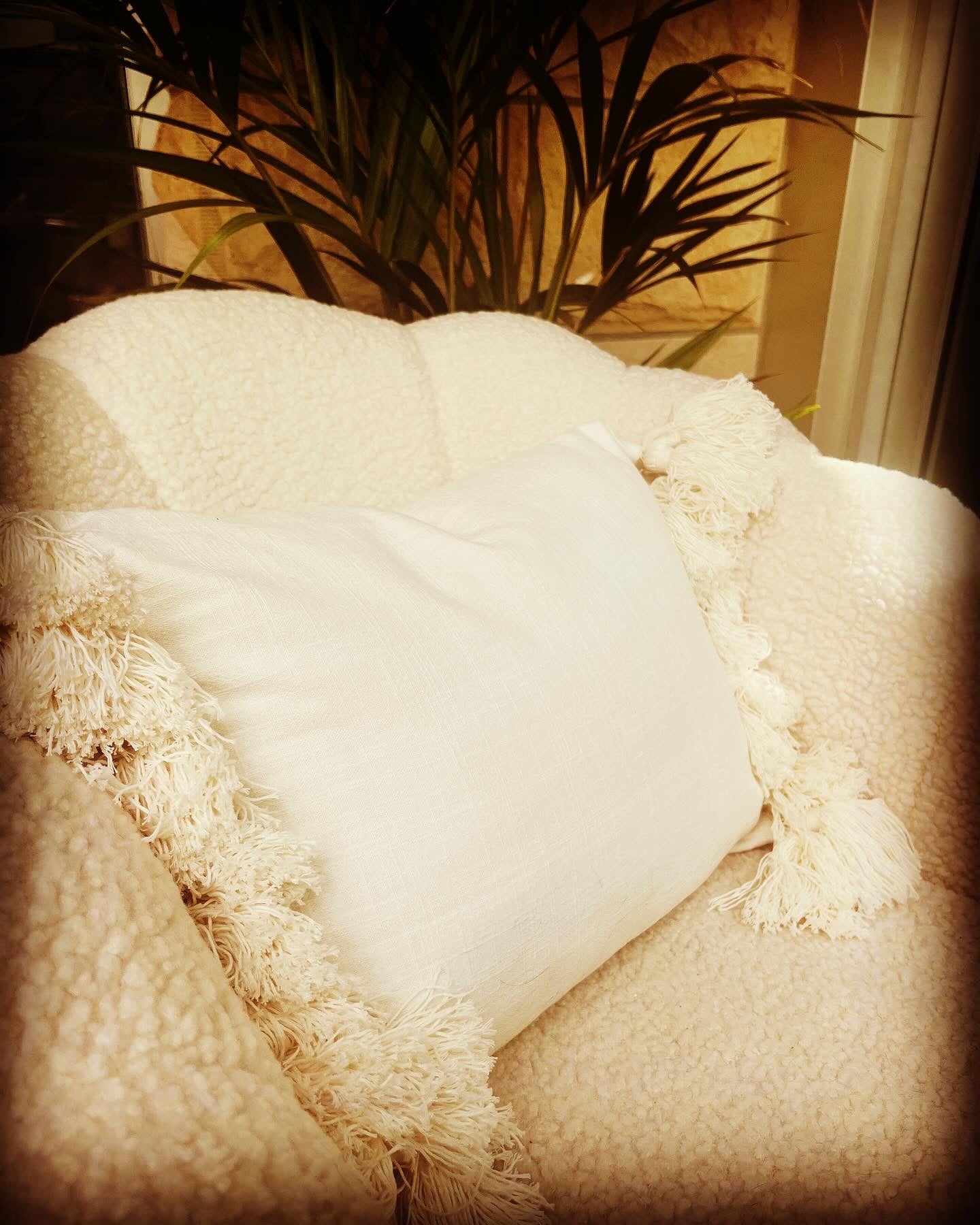 Soft tassel cushion