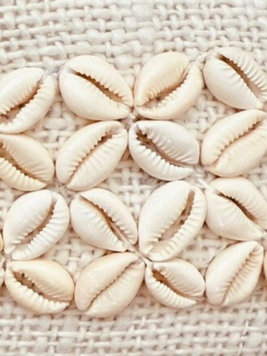 Horizon shell cushion - Lumbar - New!