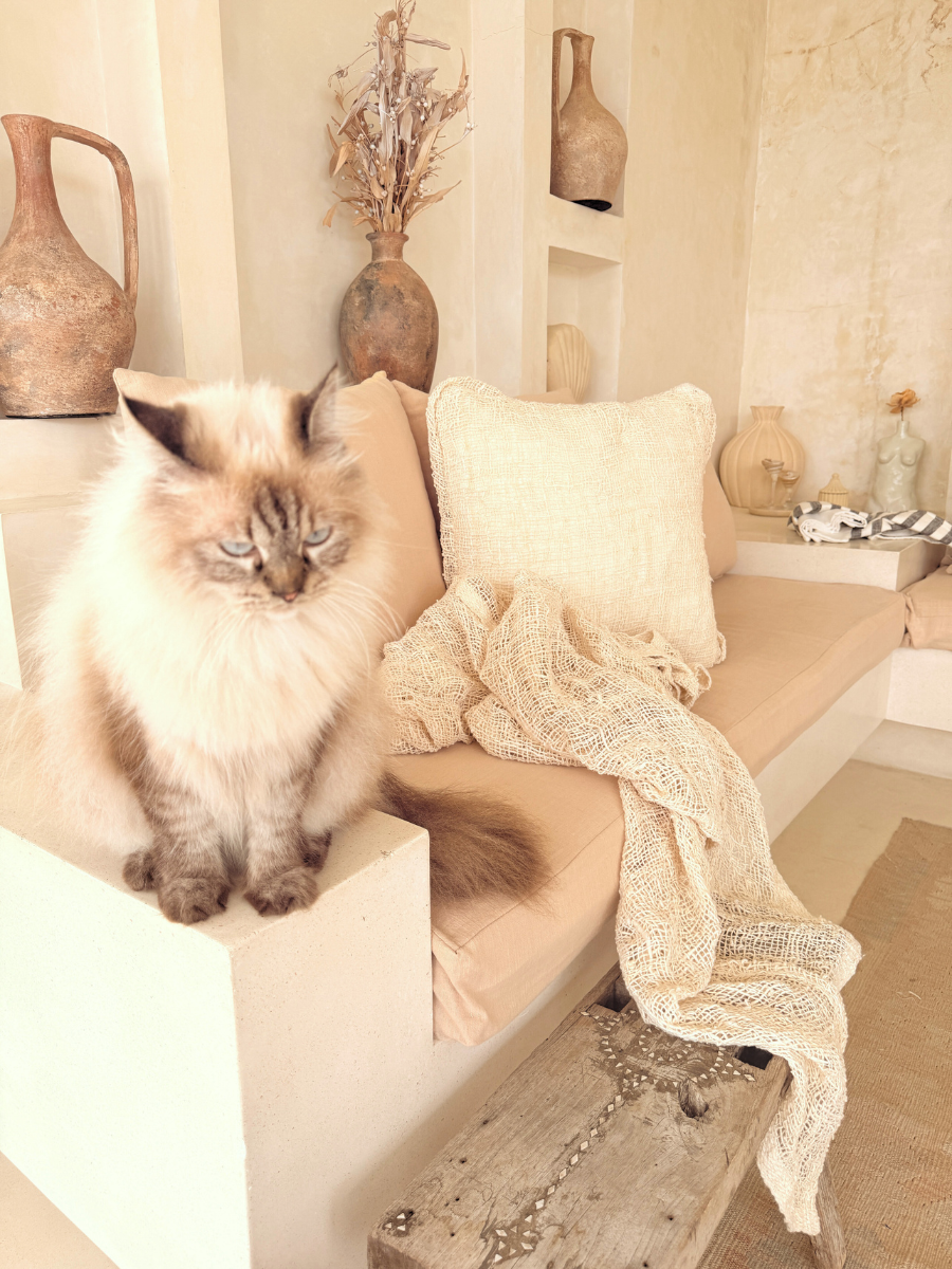 Coastal Natural Woven Cotton cushion - New!