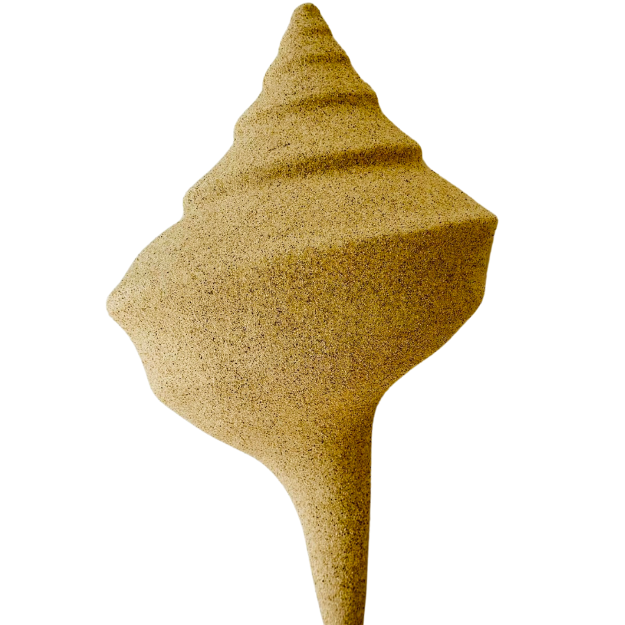 A conch shell-shaped wall decor made from resin with a textured natural sand finish.