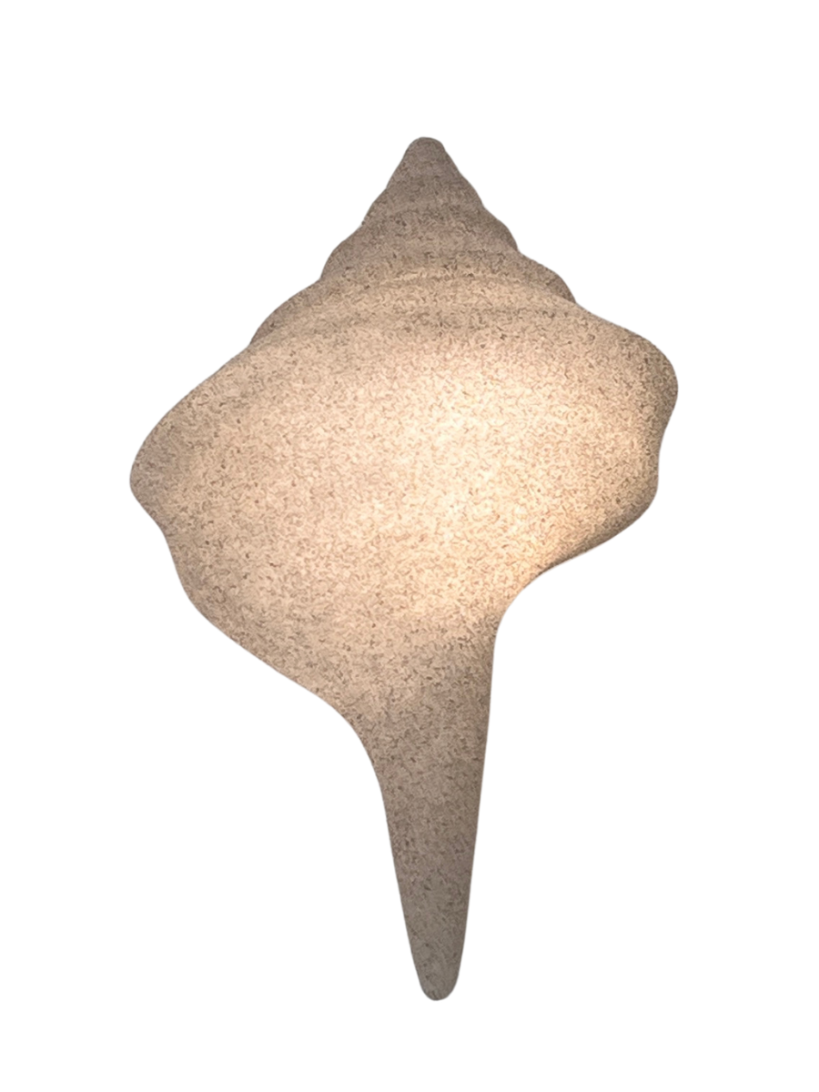 Conch Shell decor or light - Natural - New!