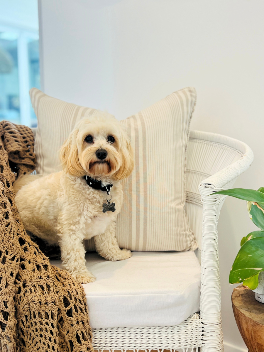 Sabbia Stripe Square