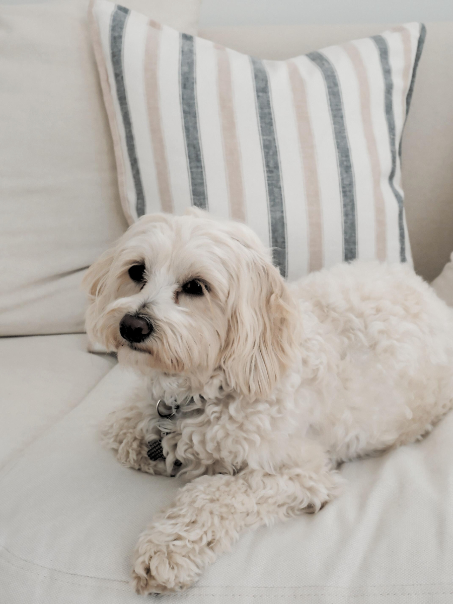 Sand and Sea Stripe cushion - New!