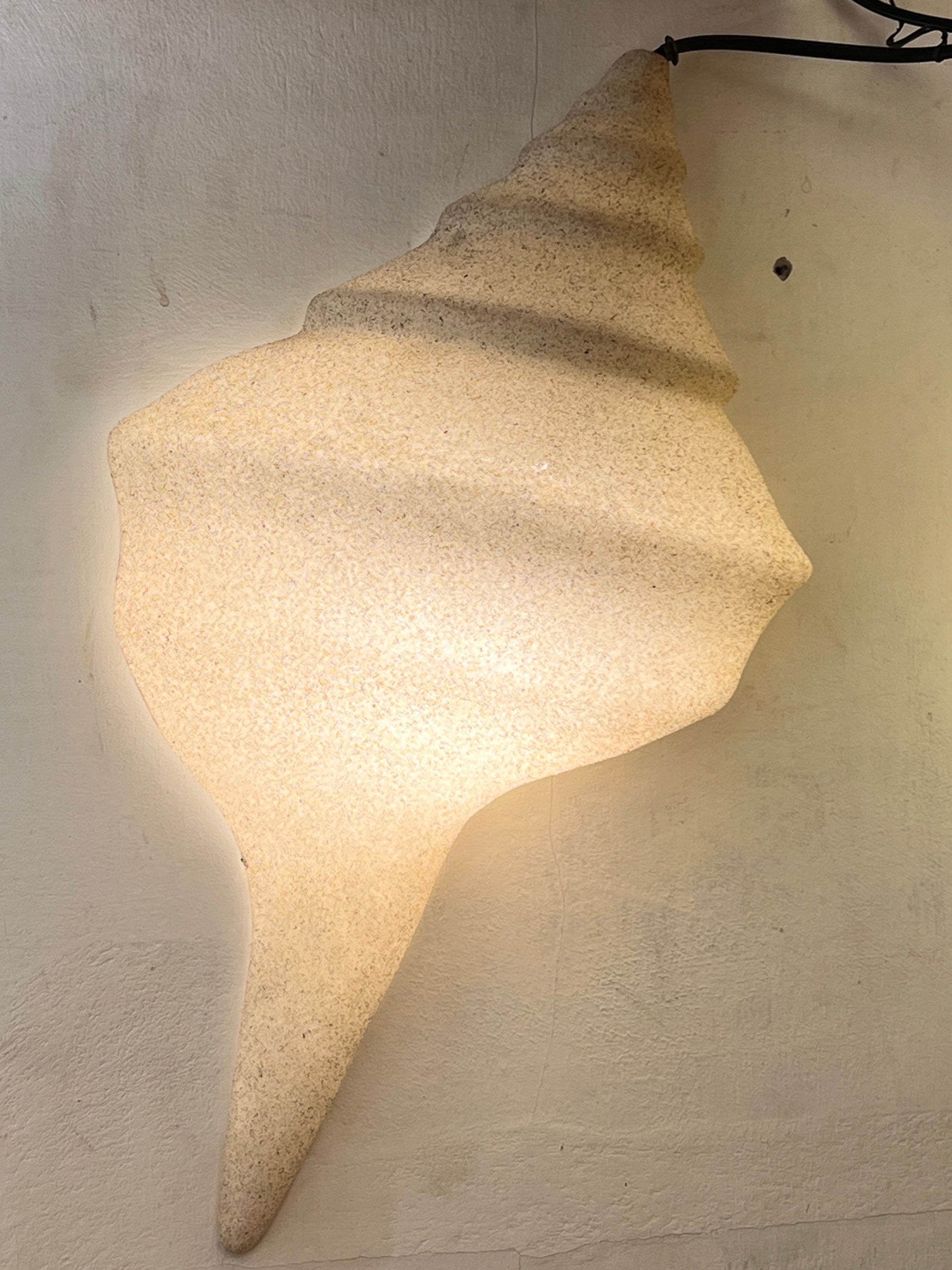 Conch Shell decor or light - Natural - New!