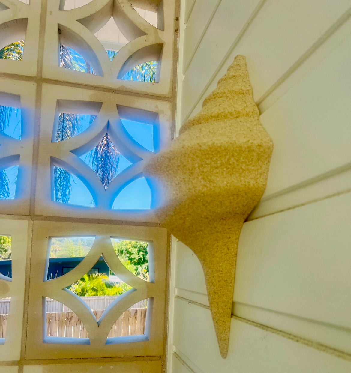 Conch Shell decor or light - Natural - New!