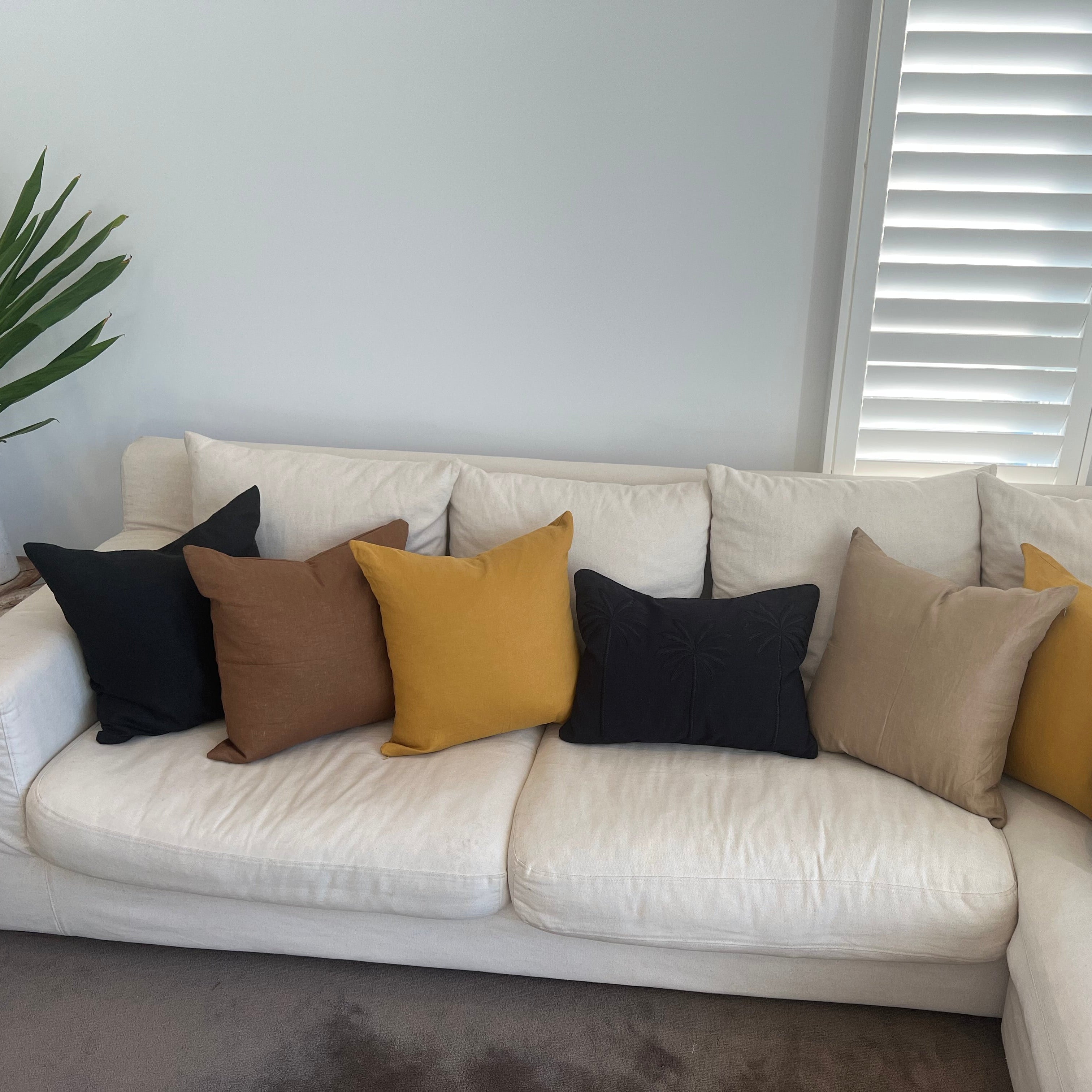 Square and rectangle cushions on a sofa with window.