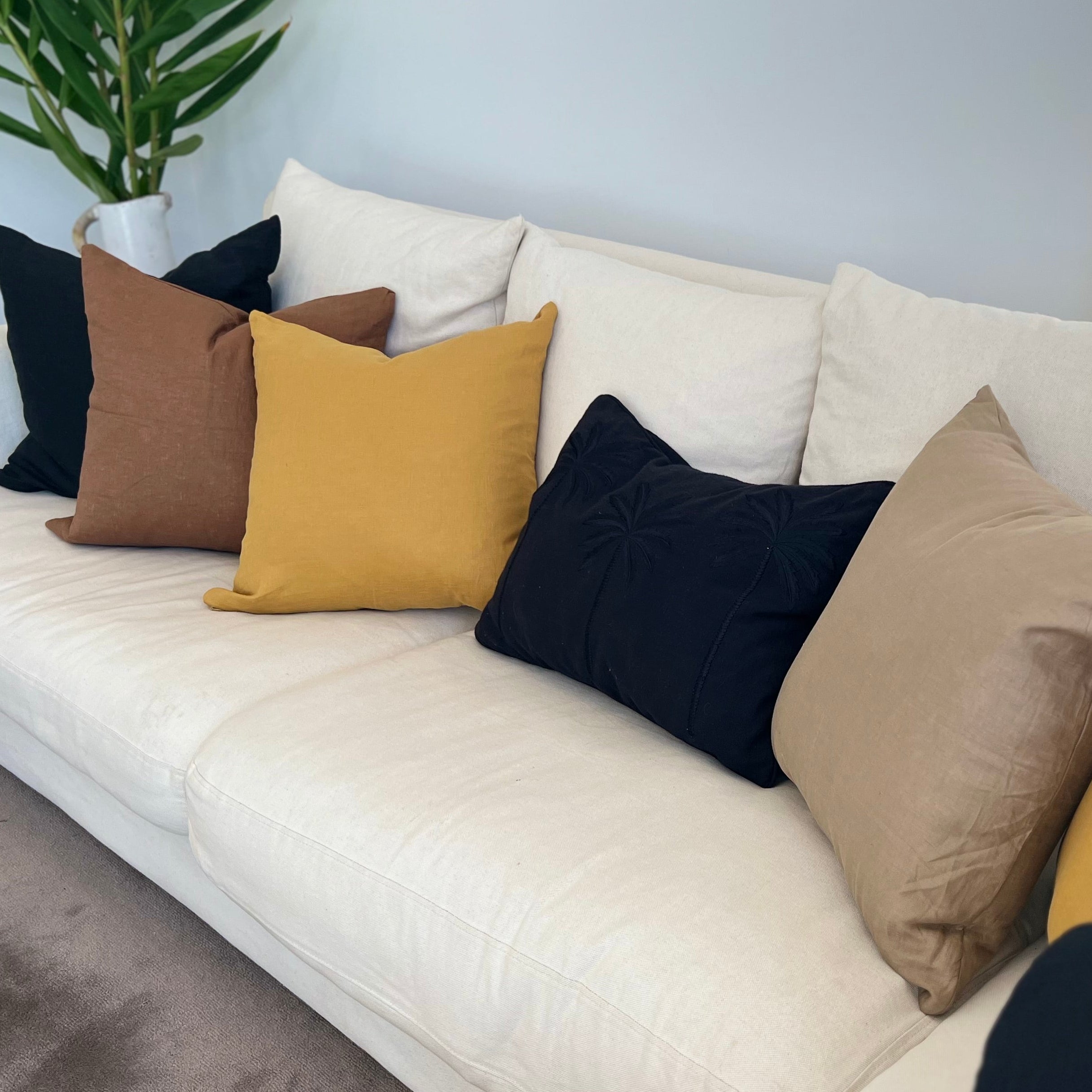 Cushions on a sofa.
