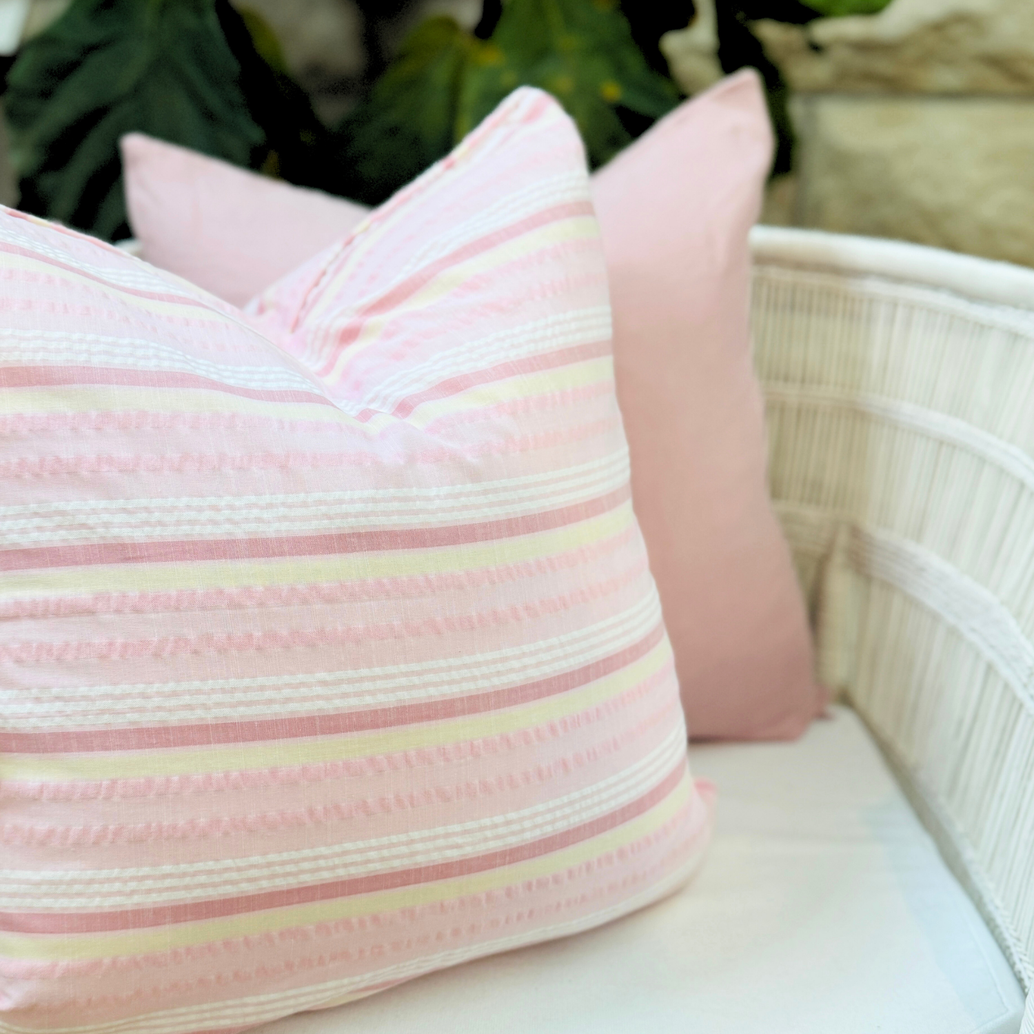 Cotton Candy Palm Summer Set - New!