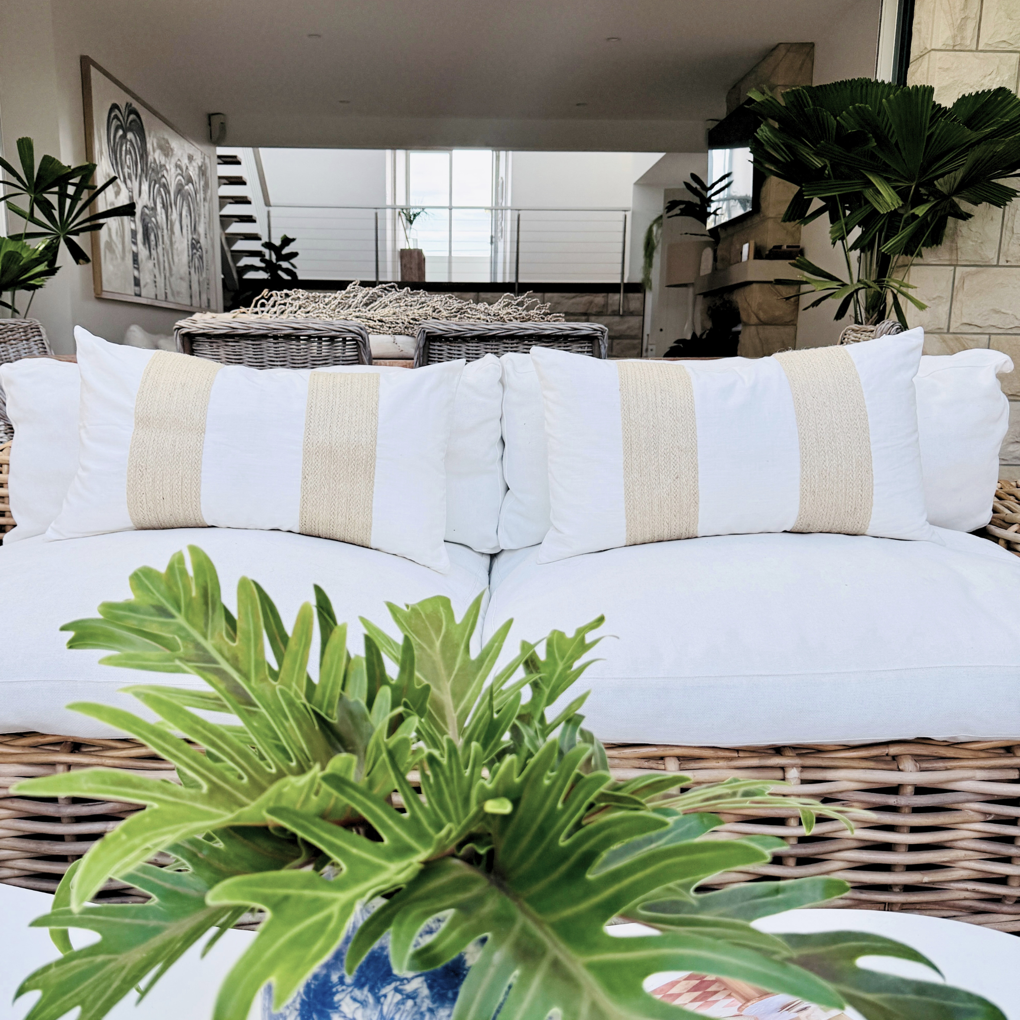 Coconuts Cushion Set - New Design!