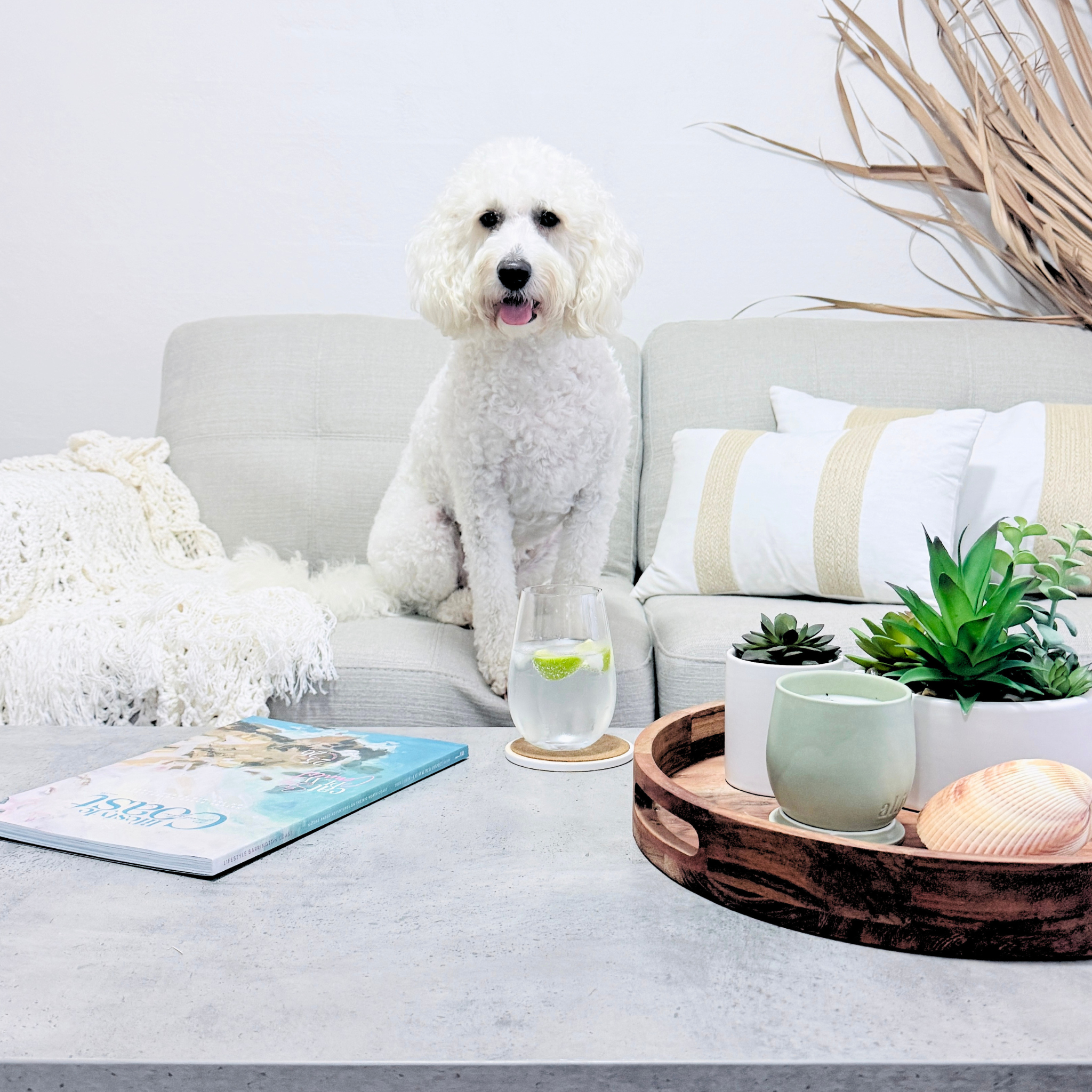 Coconuts Cushion Small Oblong - New Design!