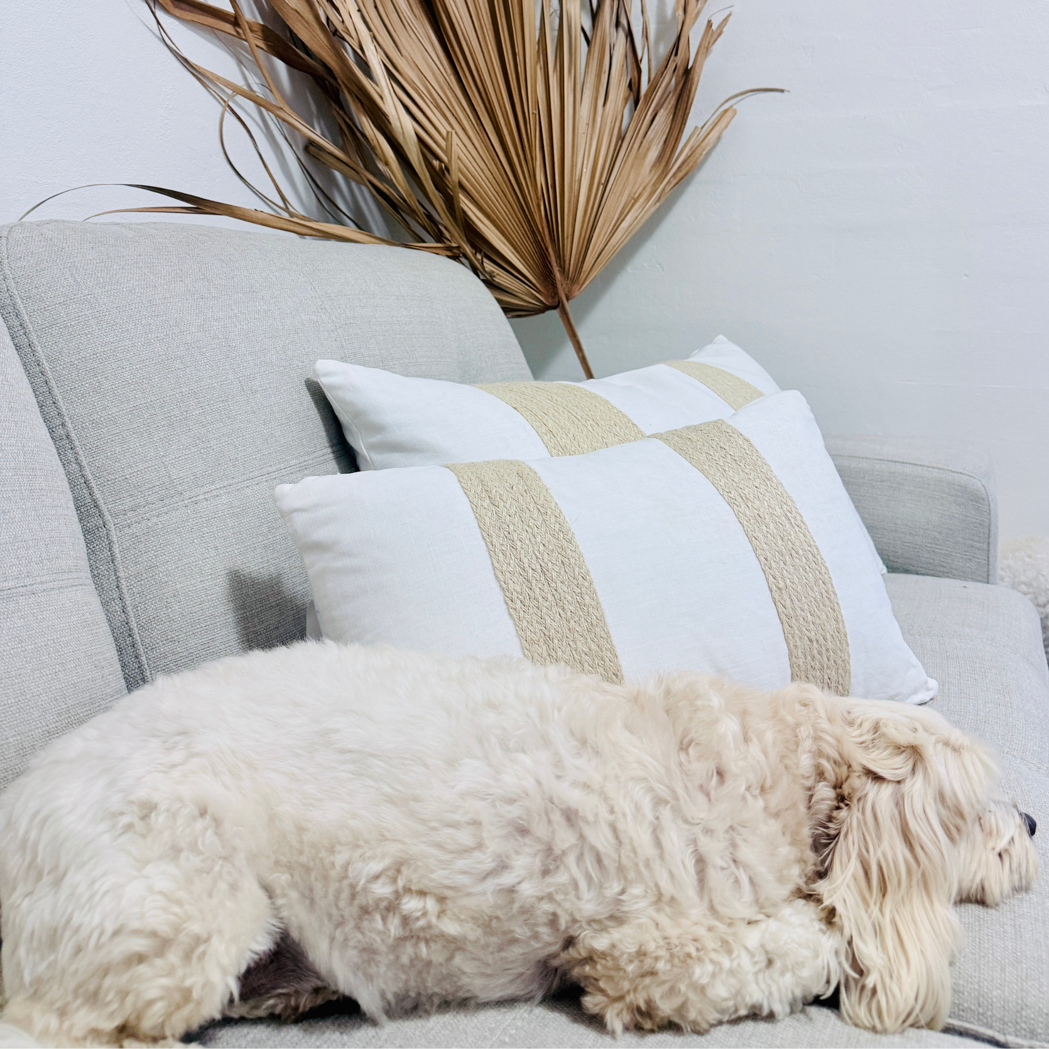 Coconuts Cushion Small Oblong - New Design!