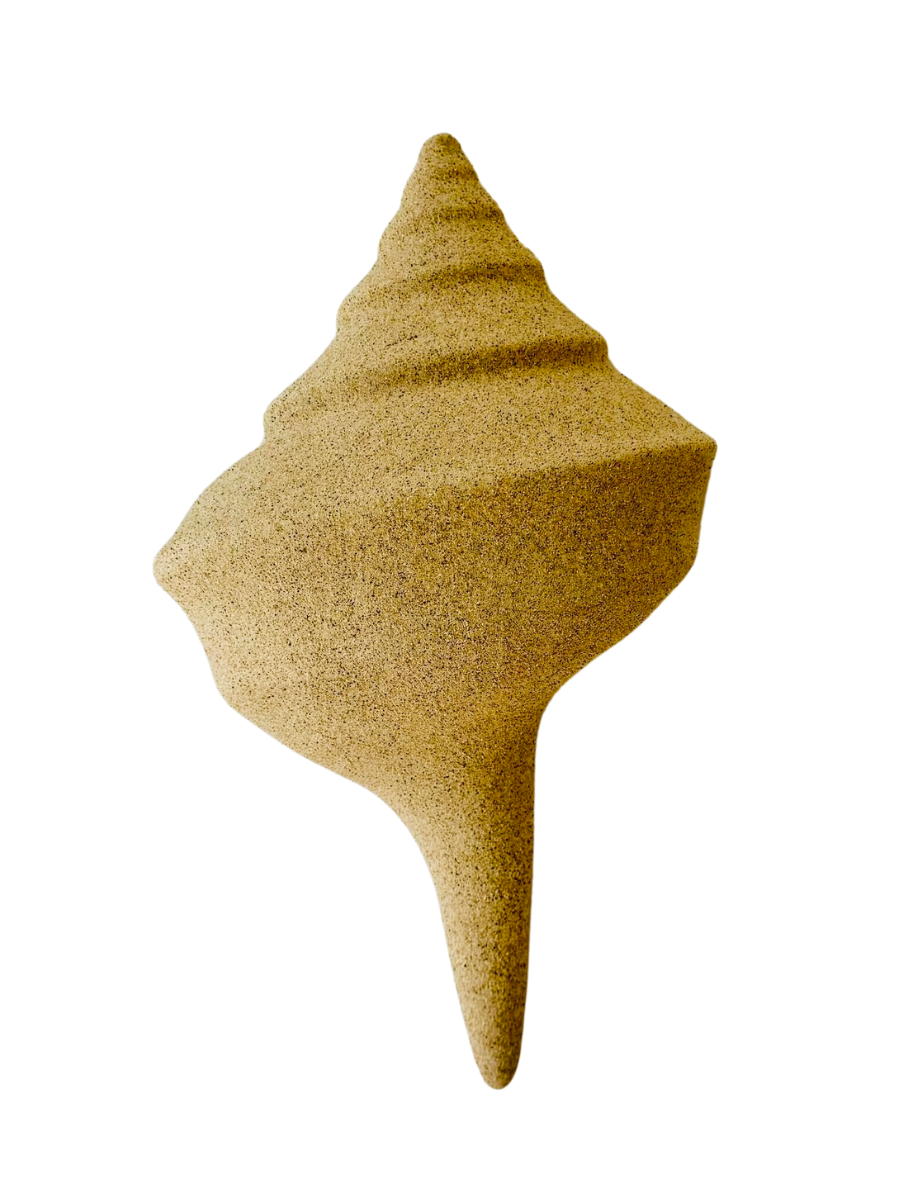 Conch Shell decor or light - Natural - New!