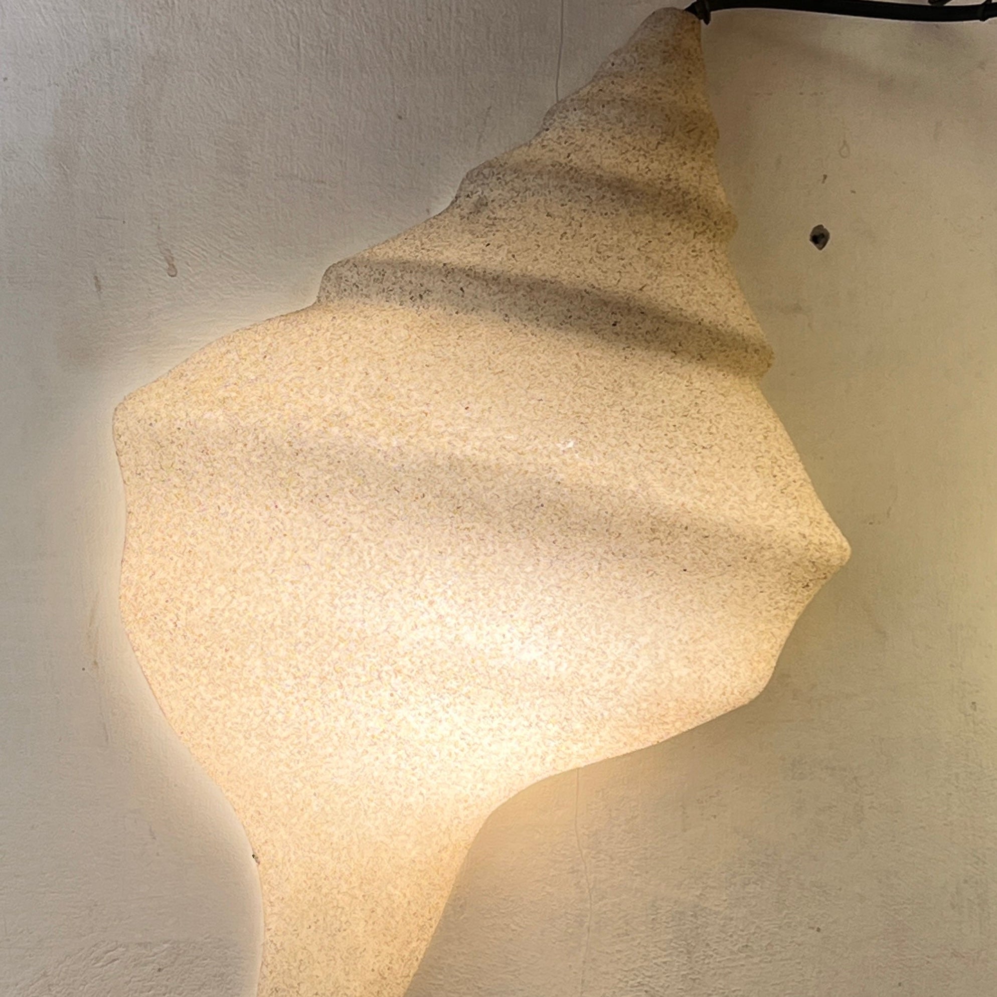 Conch lamp on a wall.