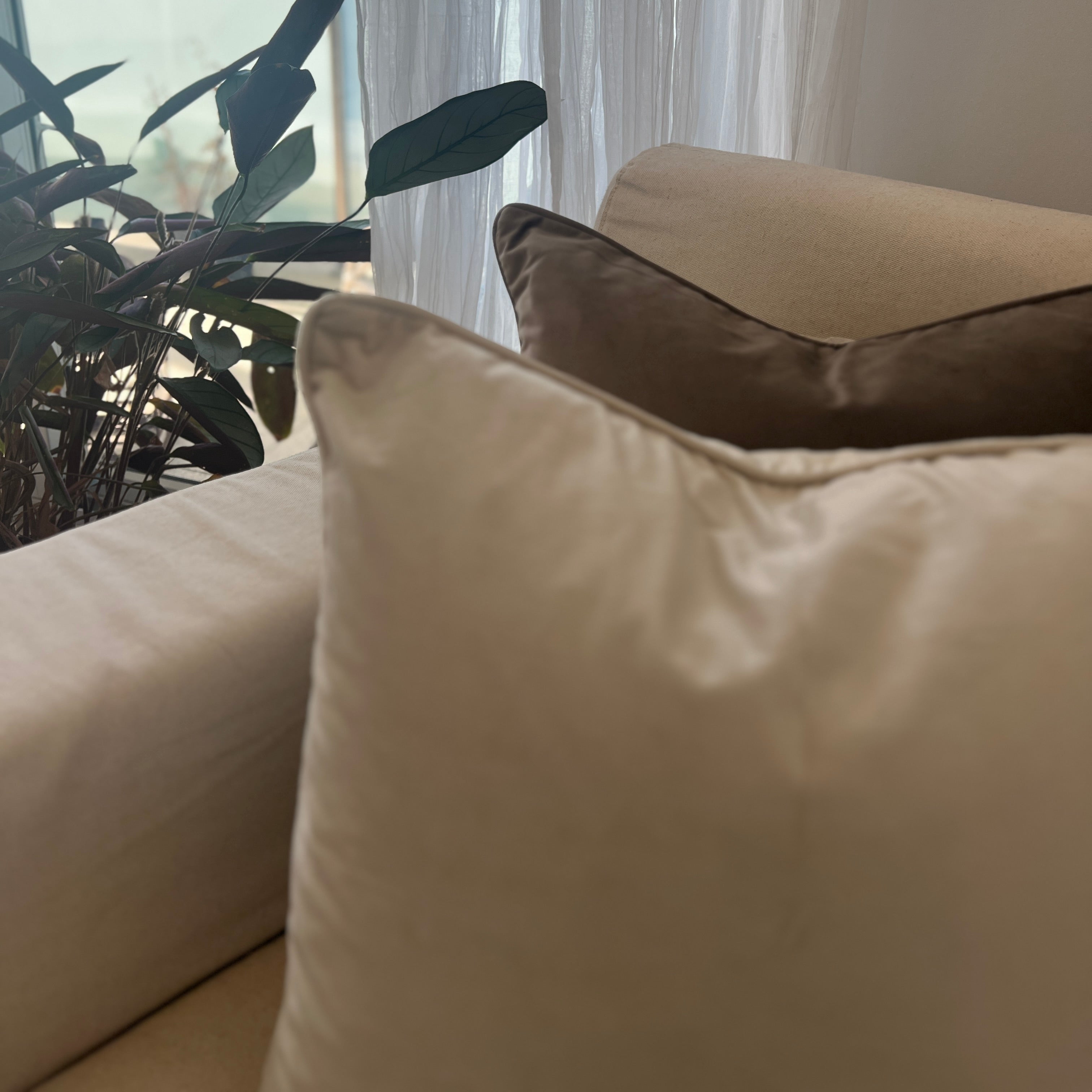 Cushions on a sofa with plant.