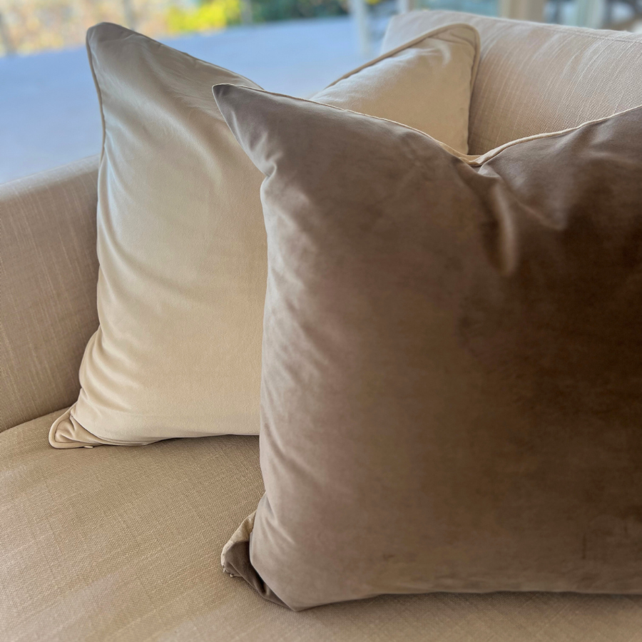 two cushions on a sofa.