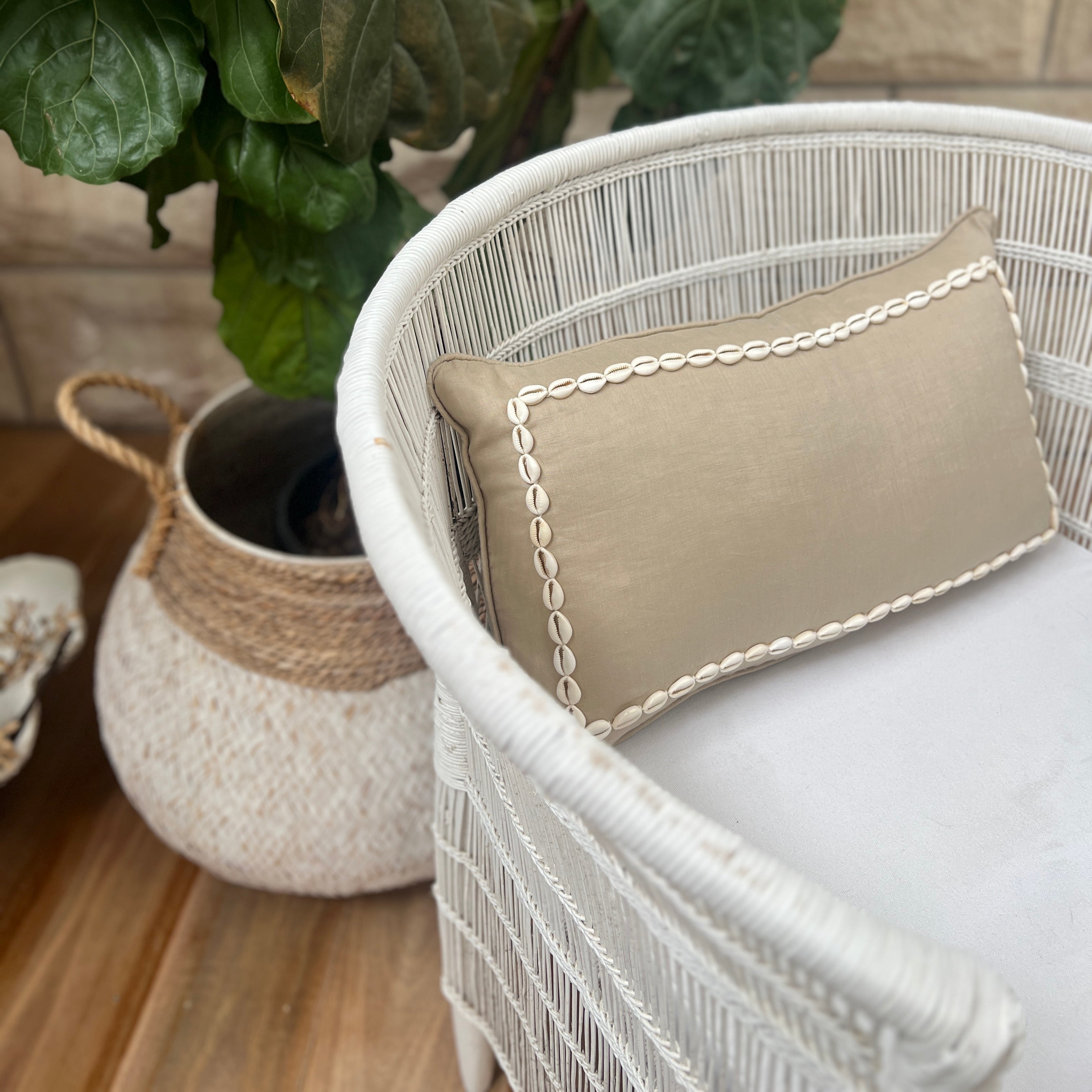 Cushion with shell on a chair with plant on the background. 