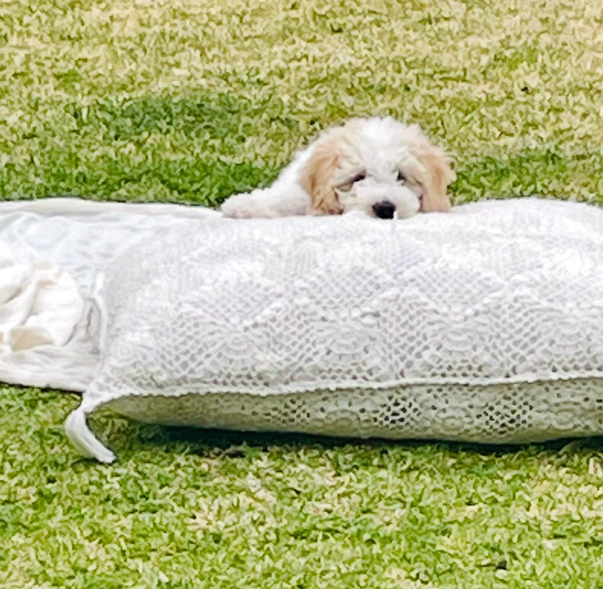 Crochet Floor and Pet Pillow - Large